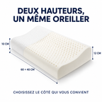 Oreiller latex : 60 × 40 cm, deux hauteurs de rebord 10 et 12 cm